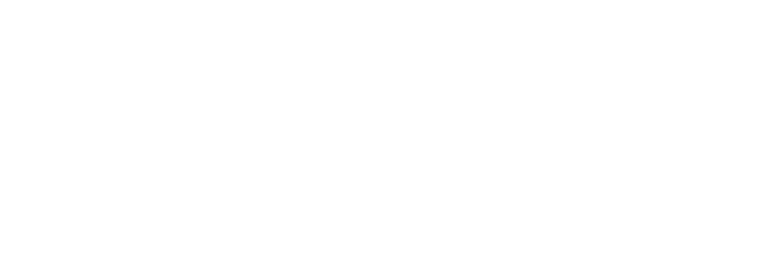 Pro Futsal Academy